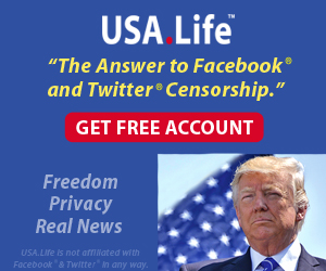 USA.Life Social Network